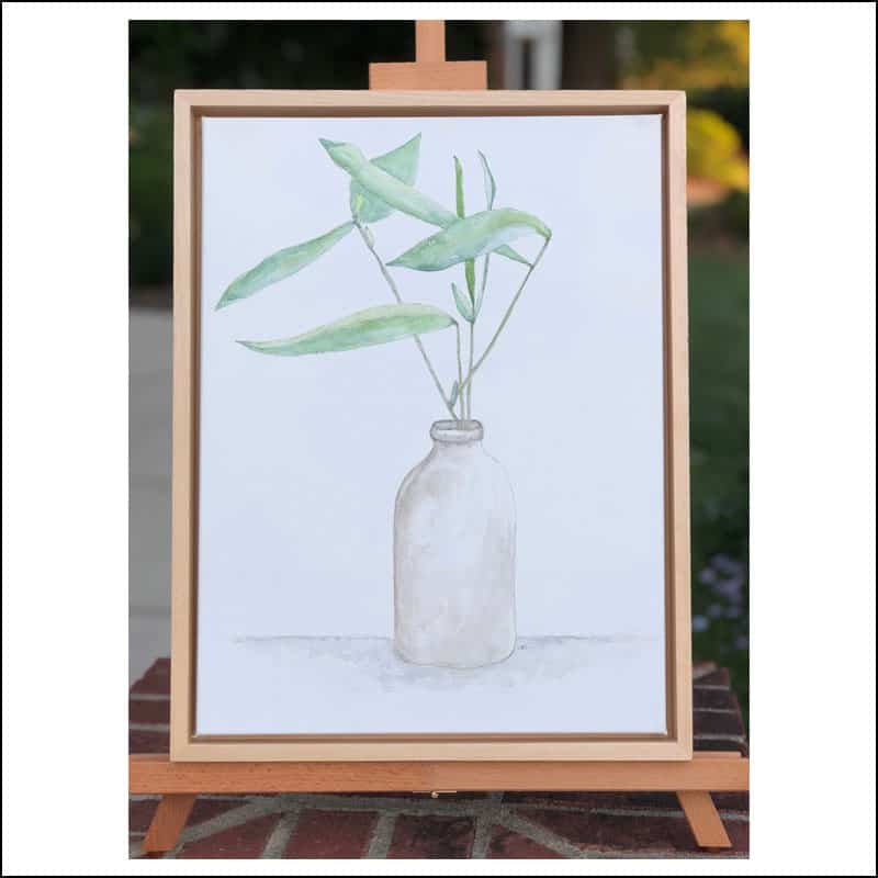 PLANT D. On The Shelf | 12" x 16" watercolor on canvas framed