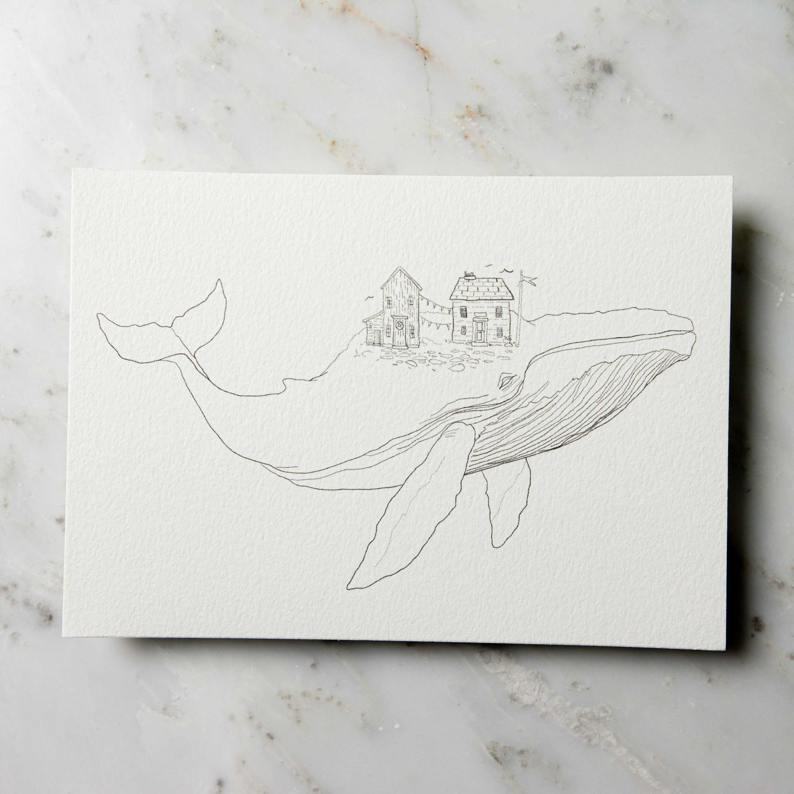 ko pic blue whale & fishing village