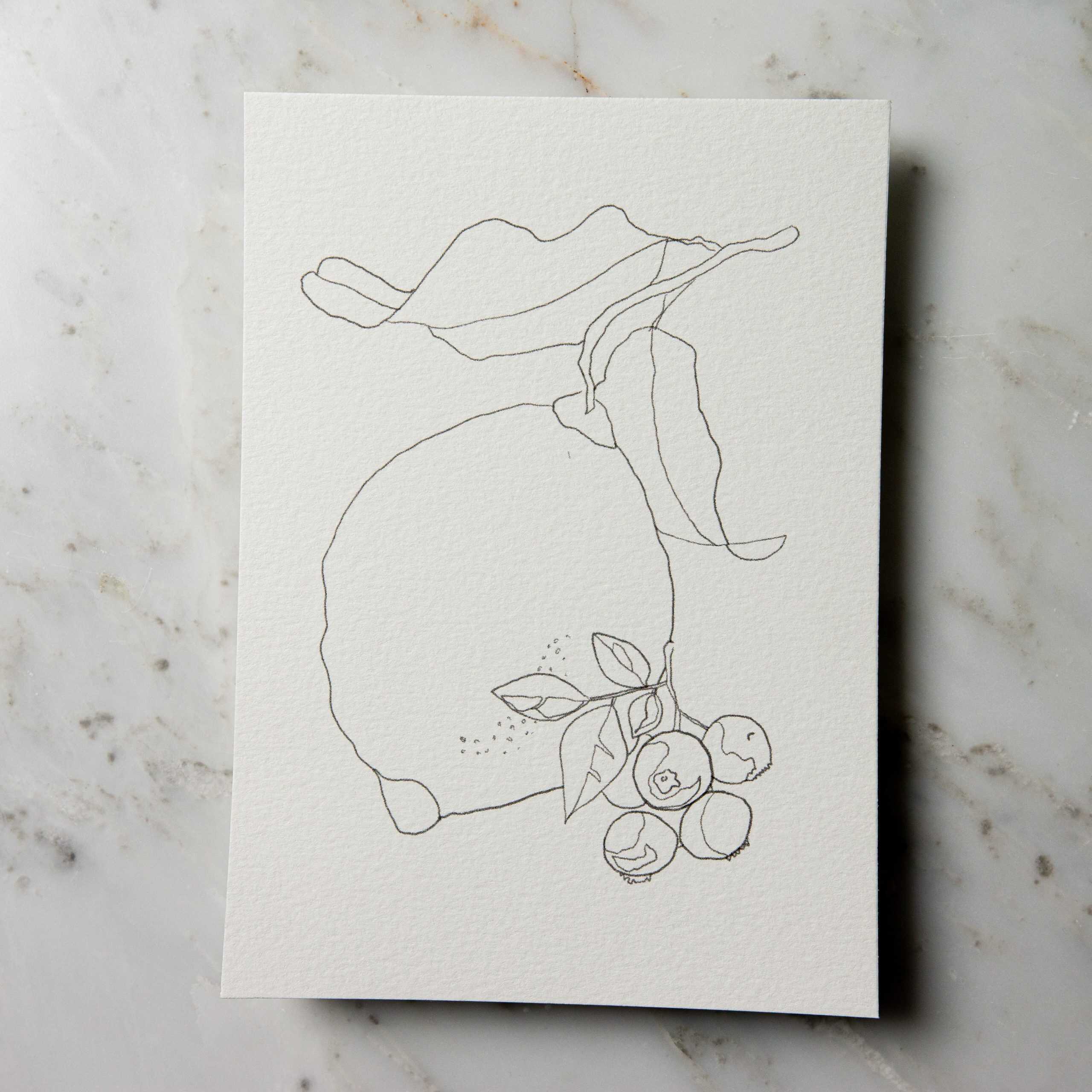 ko pic lemon & blueberries