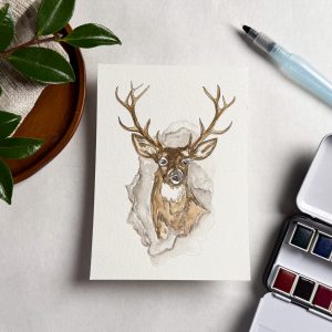 Deer | Take & Paint