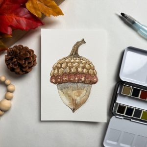 Acorn | Take & Paint