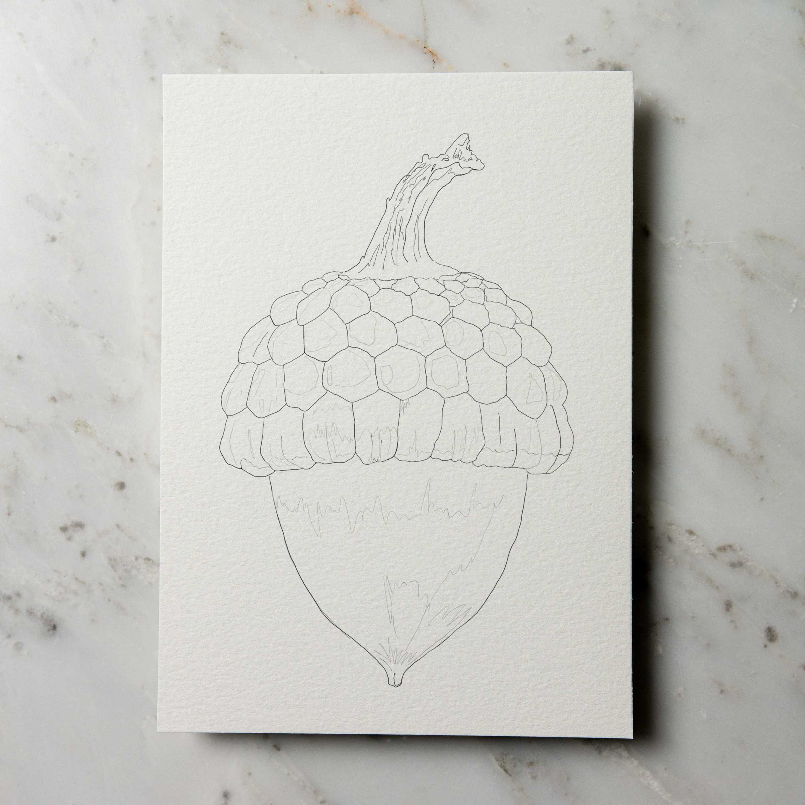 ko-pic-acorn
